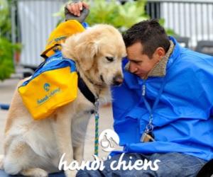Illustration de l'article Carrefour aide l’association Handi’Chiens a éduquer des chiens d’assistance pour enfants handicapés