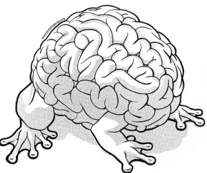 Illustration de l'article A 16 ans, il est plus fort que Newton !
