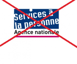 Illustration de l'article Disparition de l'agence nationale des services à la personne