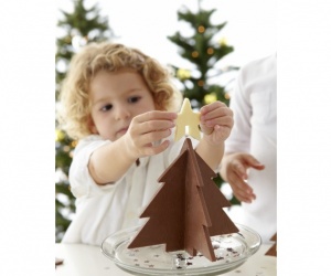 Illustration de l'article Un Noël sans danger pour les petits