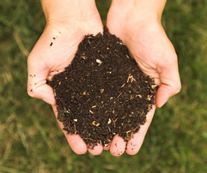 Illustration de l'article Enfin des composts à vendre sur le site de Salvaza (Carcassonne)