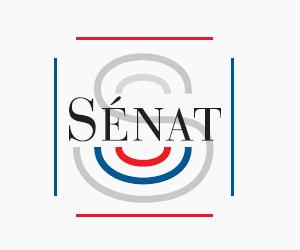 Illustration de l'article Services à la personne : bilan et prospective