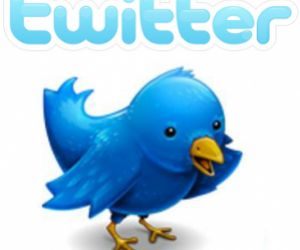 Illustration de l'article Les services à la personne sur Twitter