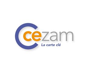 Illustration de l'article 10% des CE proposent des CESU