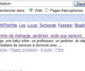Illustration de l'article aladom dans les résultats google