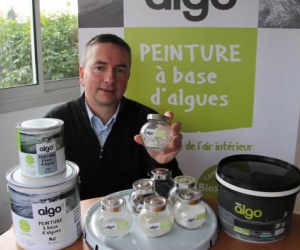 Illustration de l'article algo, une peinture naturelle aux algues