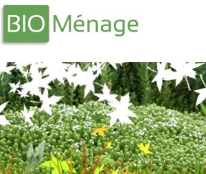 Illustration de l'article Du ménage bio en Normandie
