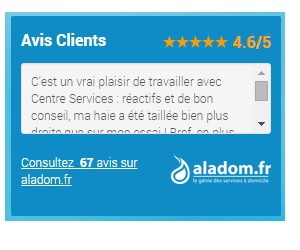 Illustration de l'article Hausse moyenne de 45% pour le chiffre d'affaires des franchisés Centre Services