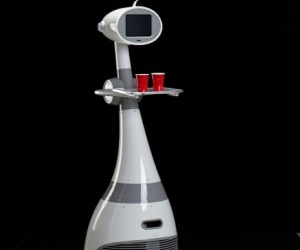 Illustration de l'article Luna, l'avenir robotisé des services à domicile