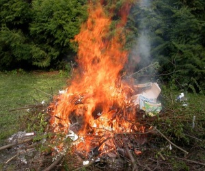 Illustration de l'article Brûler ses déchets verts est interdit !