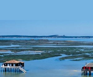 Illustration de l'article Une nouvelle agence à Arcachon pour Free Dom