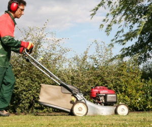 Illustration de l'article Les solutions pour entretenir son jardin