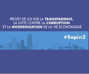 Illustration de l'article Le projet de loi #Sapin2 propose que les auto-entrepreneurs puissent dépasser les plafonds de revenu pendant 2 ans