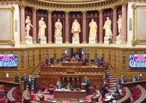 Illustration de l'article 28 propositions du Sénat pour la politique du Handicap dans la fonction publique