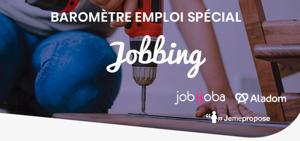 Illustration de l'article Baromètre 2019 du Jobbing