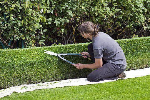 Illustration de l'article Sondage sur le confinement : moins de stress quand on a un jardin