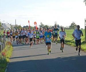 Illustration de l'article aladom au Marathon vert