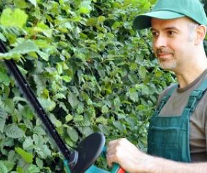 Illustration de l'article Quels sont les tarifs pratiqués par les jardiniers ?