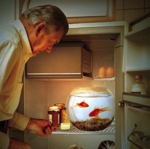 Illustration de l'article Alzheimer :  Le gestionnaire de cas, un intermédiaire privilégié