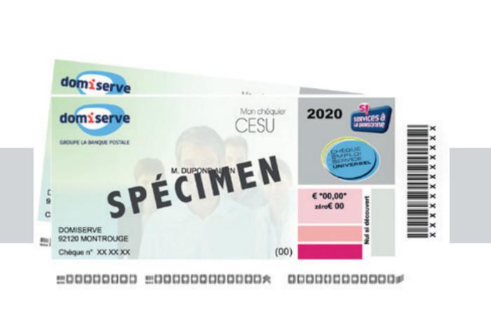 Illustration de l'article Le CESU Domiserve