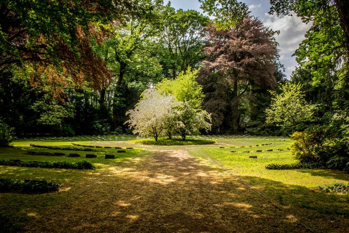 Illustration de l'article Conseils pour jardinage