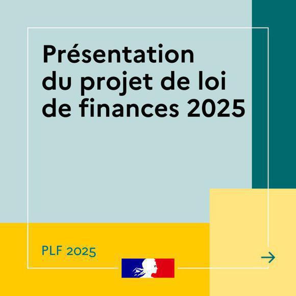 Illustration de l'article Budget 2025 : Quel impact pour les services à la personne ?