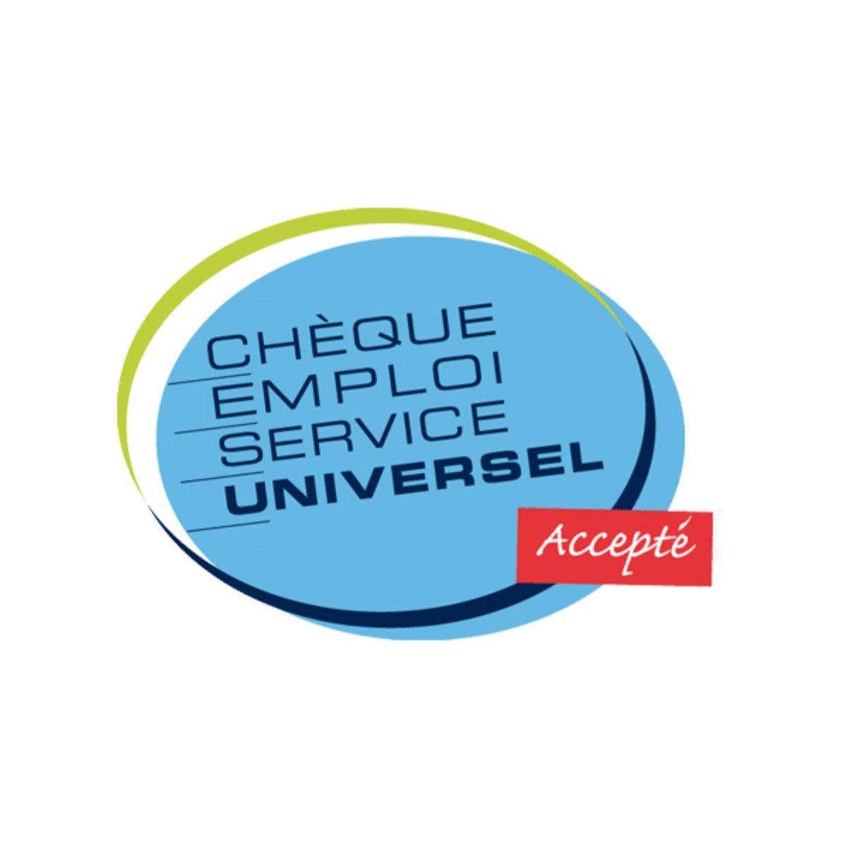 Illustration de l'article 20 ans de CESU préfinancé : succès, limites et défis à venir pour les services à la personne