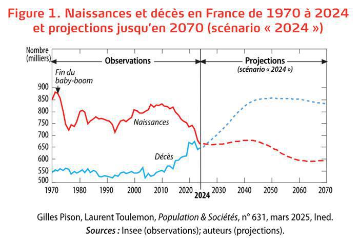 Illustration de l'article La France à la croisée des chemins : La population va-t-elle s'effondrer ?