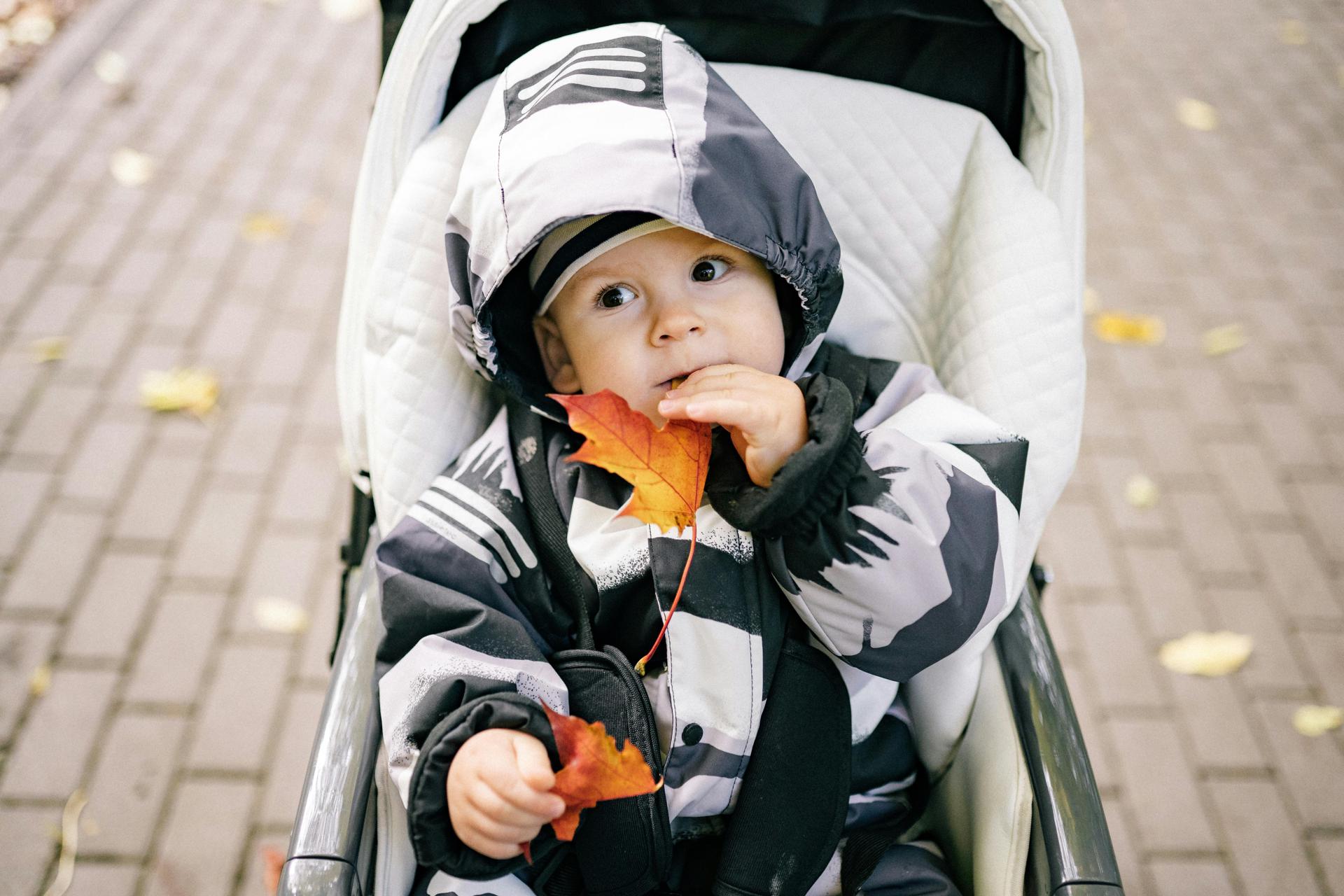 Illustration de l'article Pajemploi 2026 : Ce qui change pour la déclaration de vos enfants