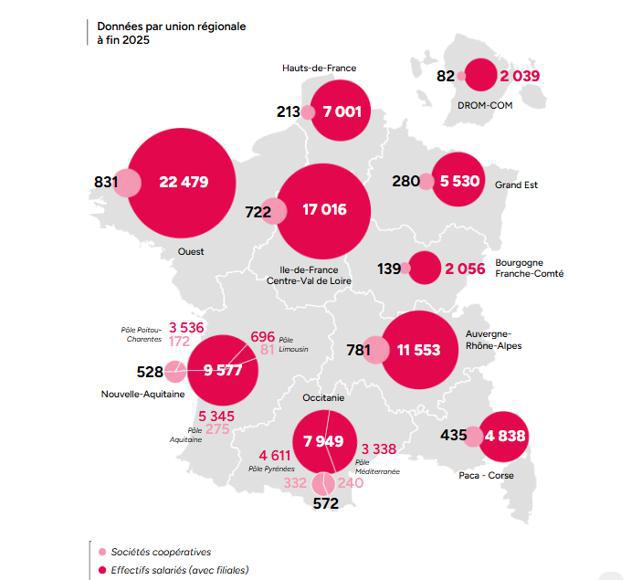 Illustration de l'article Le modèle coopératif confirme sa solidité : le bilan 2022-2025 de la CG Scop
