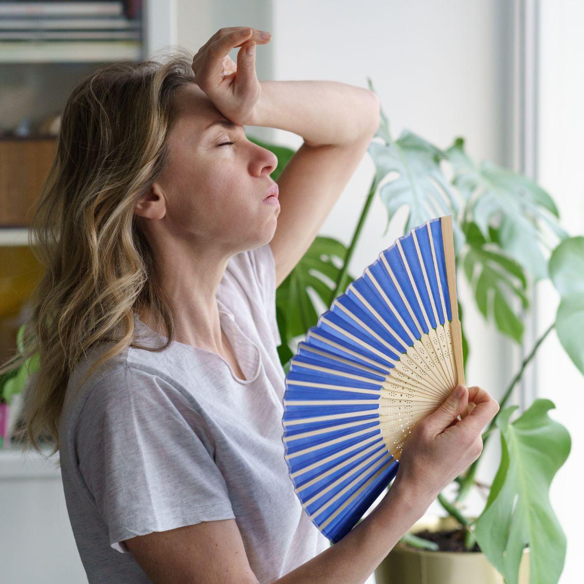 Illustration de l'article Canicule : quelles sont les obligations des employeurs dans les services à la personne ?