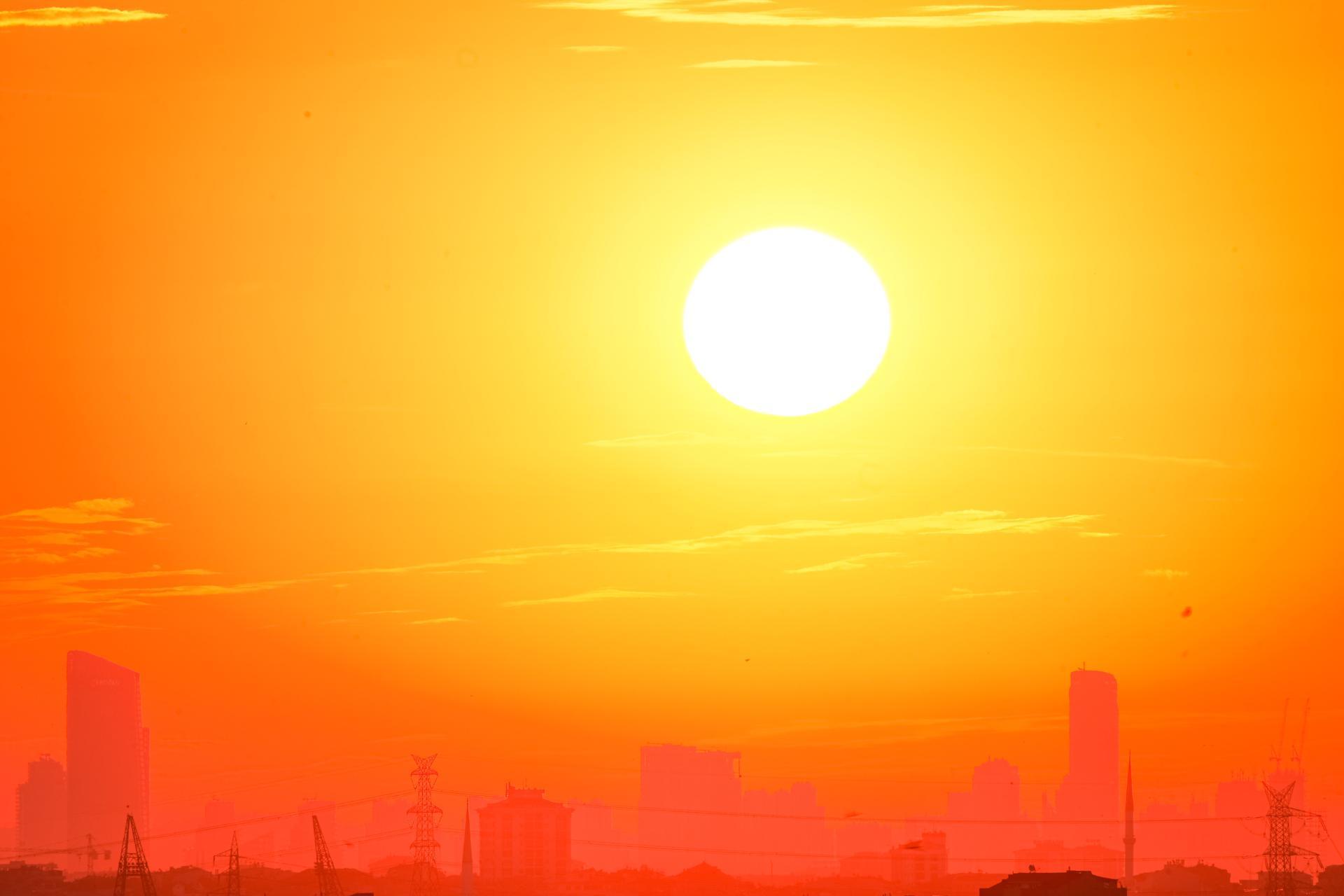 Illustration de l'article Le choc de la transition thermique : Comment le réchauffement climatique redéfinit les services à la personne et le soin à domicile