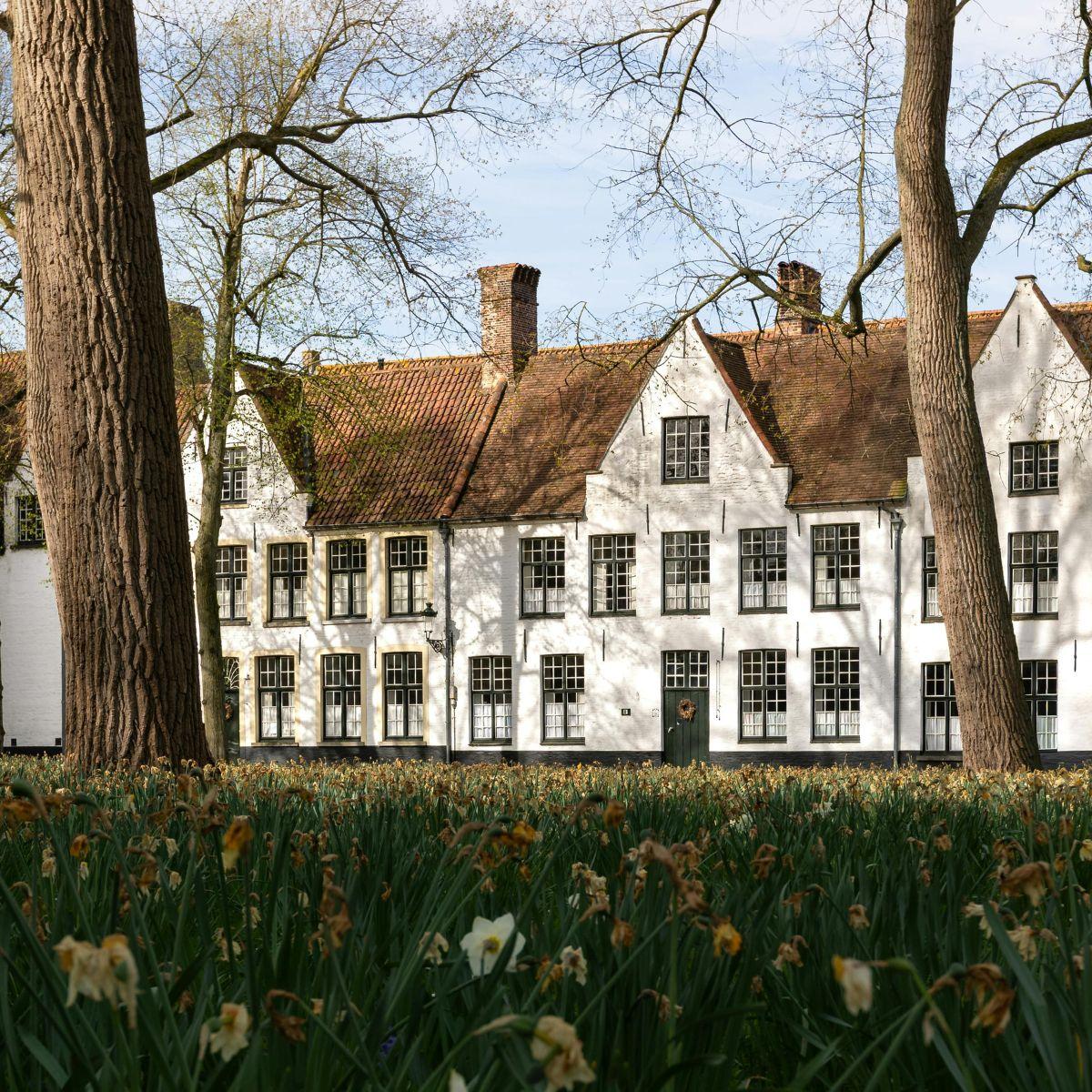 Illustration de l'article Béguinage : cette alternative aux EHPAD séduit de plus en plus de seniors autonomes