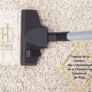 illustration Employé / Employée de ménage H/F