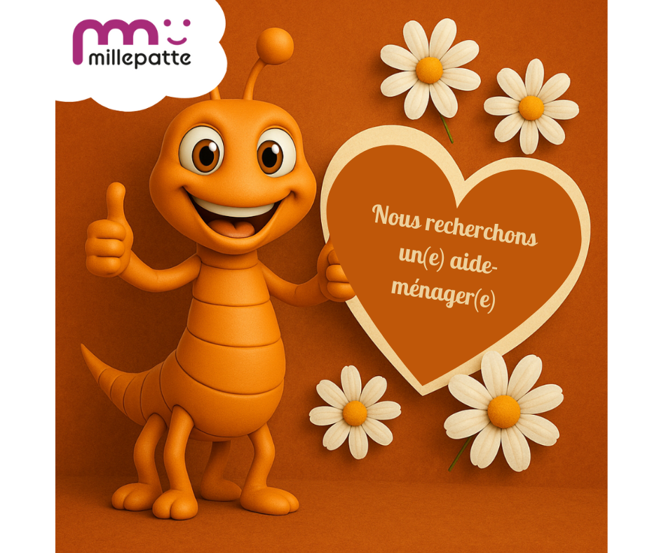 illustration Aide ménager / ménagère à domicile H/F