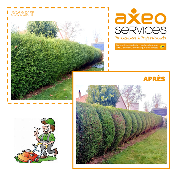 illustration Jardinier / Jardinière H/F