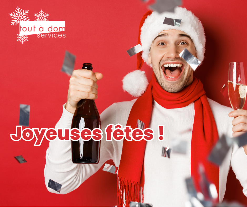 illustration Aide ménager / ménagère à domicile H/F