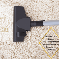 illustration Aide ménager / ménagère à domicile H/F