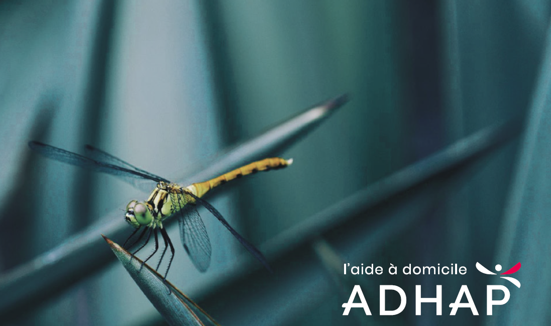 illustration Responsable de secteur d'aide à domicile H/F