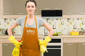 illustration Aide ménager / ménagère à domicile H/F