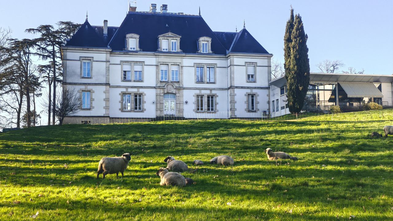 illustration Animateur(trice)  et référent(e) Bientraitance