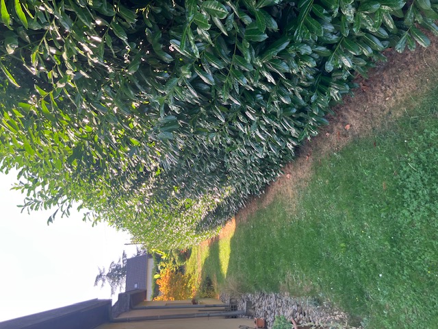 illustration Recherche jardinier à 68100 Mulhouse