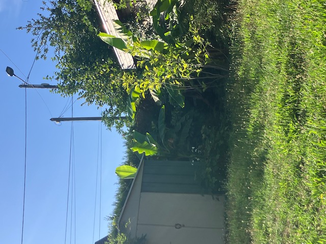 illustration Recherche jardinier à 68100 Mulhouse