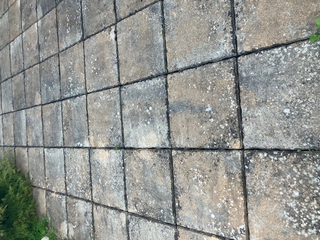 illustration Recherche jardinier à 68100 Mulhouse