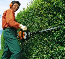 image 2 de l'annonce Jardinage à Saint-Leu-d'Esserent (60340) par Confiez-nous Saint-Leu-d'Esserent