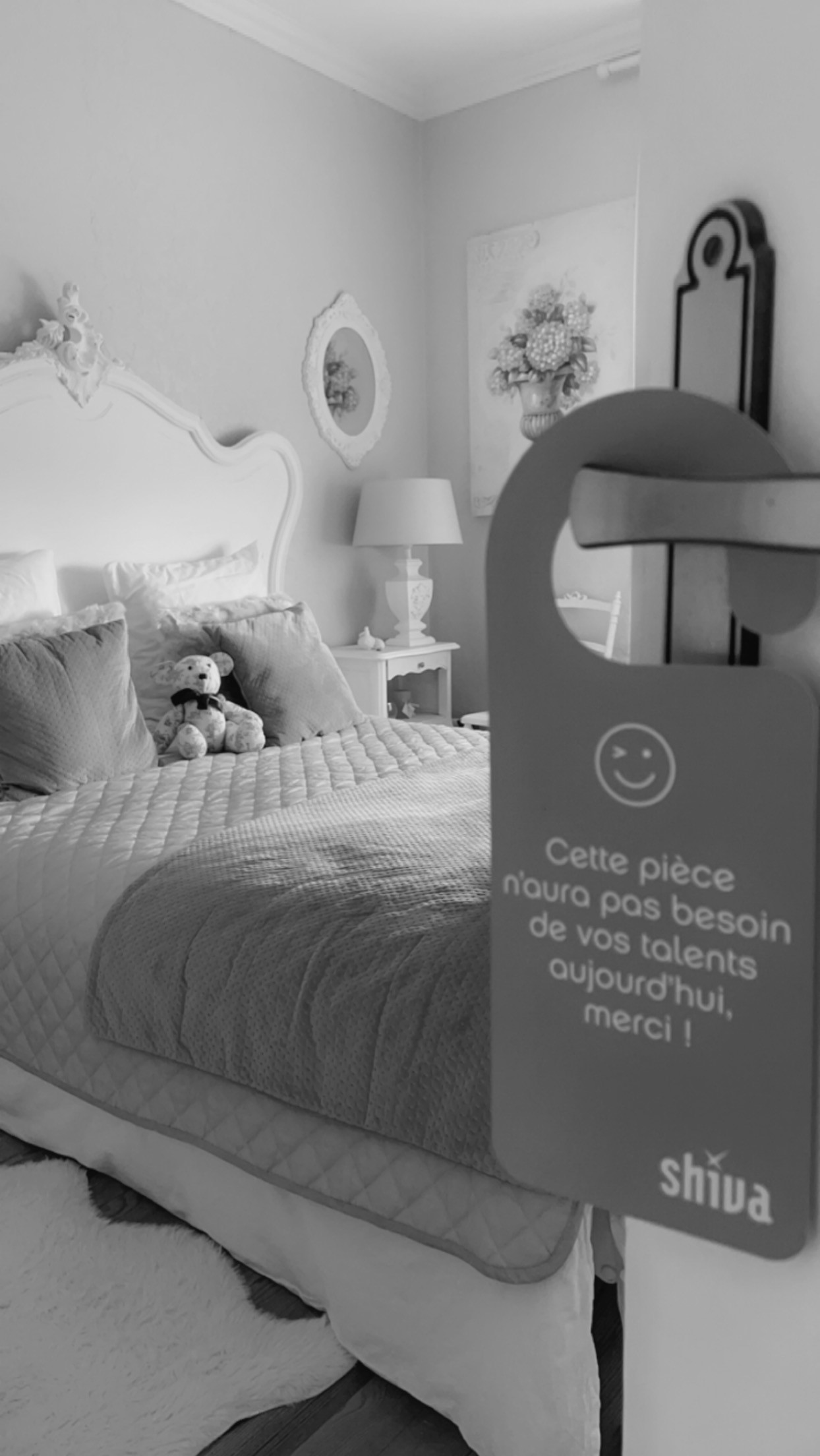 image 1 de l'annonce Repassage à Vernon (27200) par Shiva Vernon