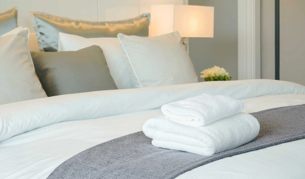 image 3 de l'annonce Repassage à Crépy-en-Valois (60800) par Hedom Services