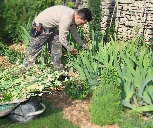 image 1 de l'annonce Jardinage à Crépy-en-Valois (60800) par Hedom Services