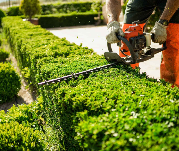 image 2 de l'annonce Jardinage à Crépy-en-Valois (60800) par Hedom Services