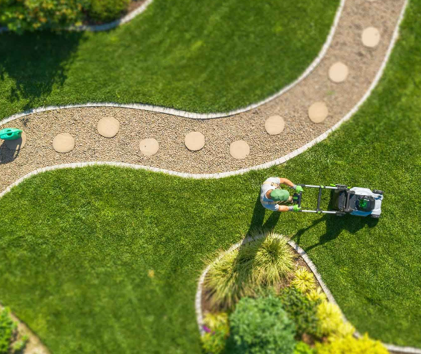 image 3 de l'annonce Jardinage à Crépy-en-Valois (60800) par Hedom Services